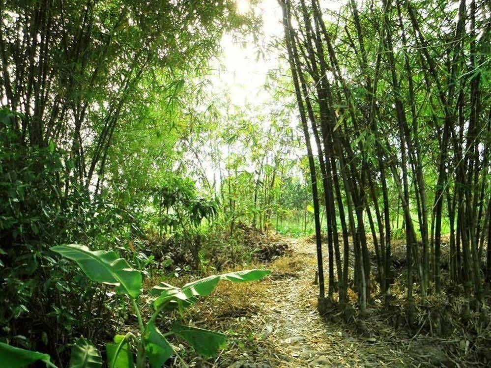 קאן טו Green Village Homestay מראה חיצוני תמונה